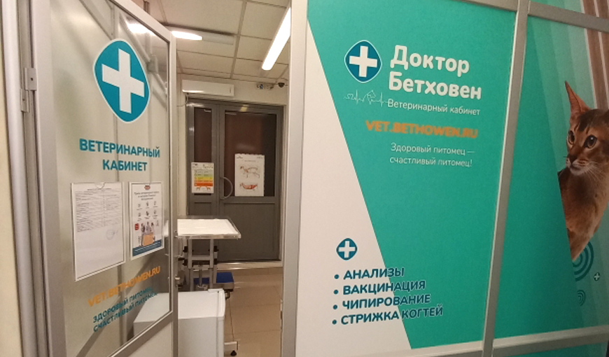 Ветеринарный кабинет на Мичуринском проспекте
