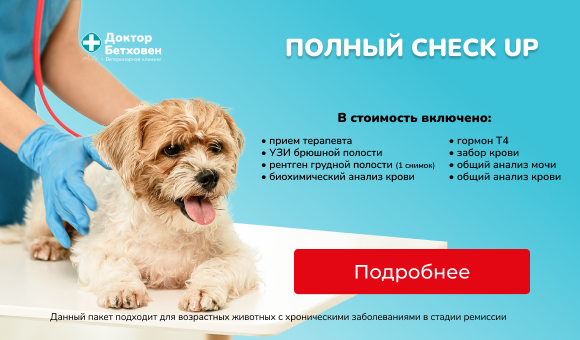 Полный check up