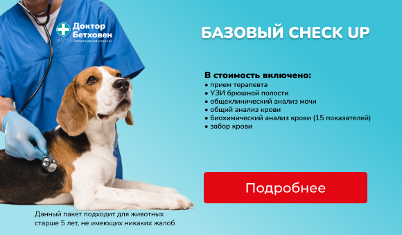 Базовый check up