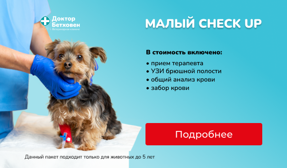Малый check up